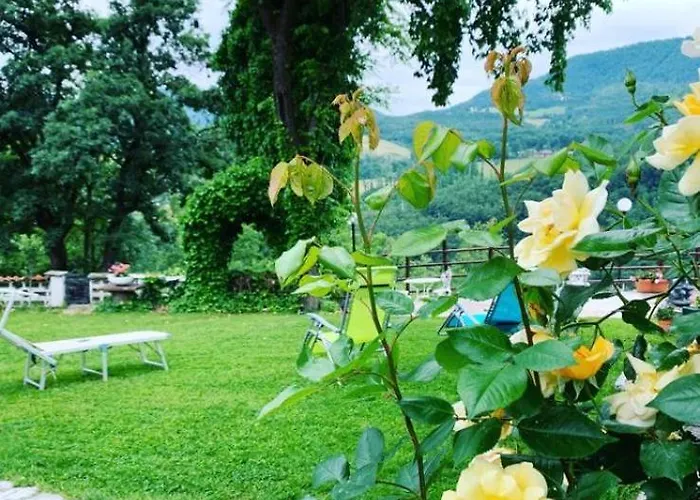 Franca Casa Immersa Nel Verde *